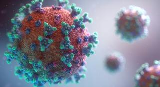 COVID-virus